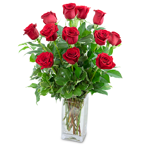 Classic Dozen Red Roses