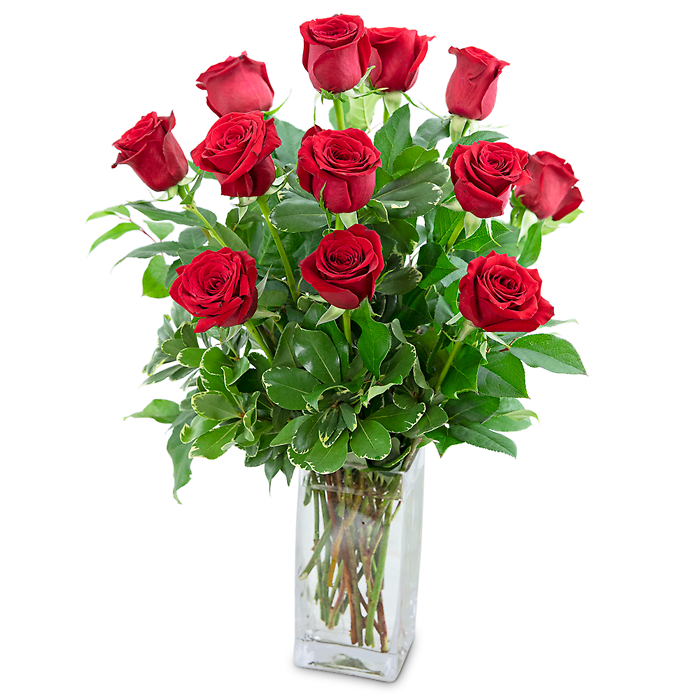 Classic Dozen Red Roses
