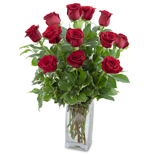 Roses