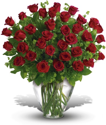 My Perfect Love - 24 Red Roses