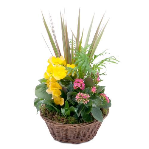 Bloomin\' Sunshine Basket
