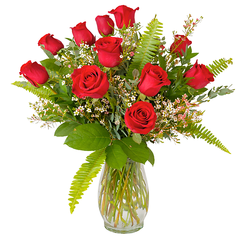 Classic Dozen Roses