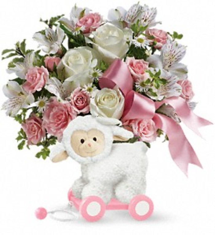 Teleflora\'s Sweet Little Lamb - Baby Pink