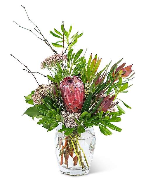 Posh Protea