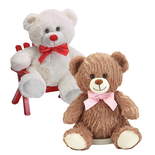 Medium Plush Bear (10\")