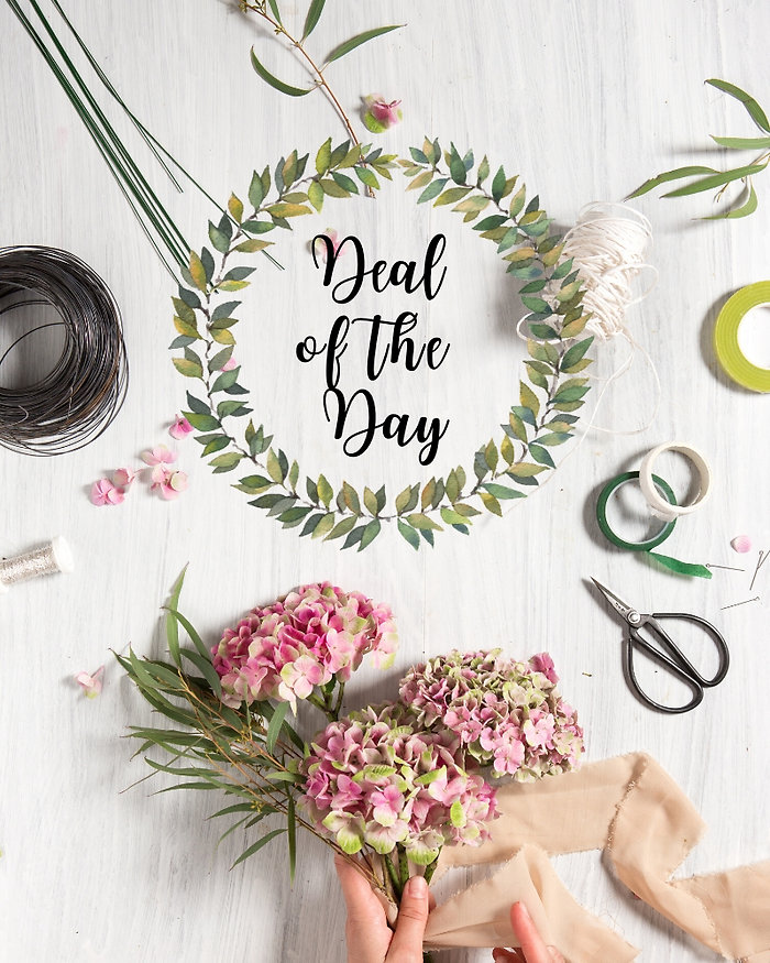 Deal of the Day