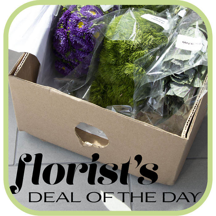 Florist\'s Deal of the Day