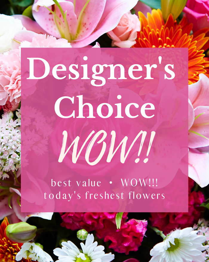 Designer\'s Choice - WOW!