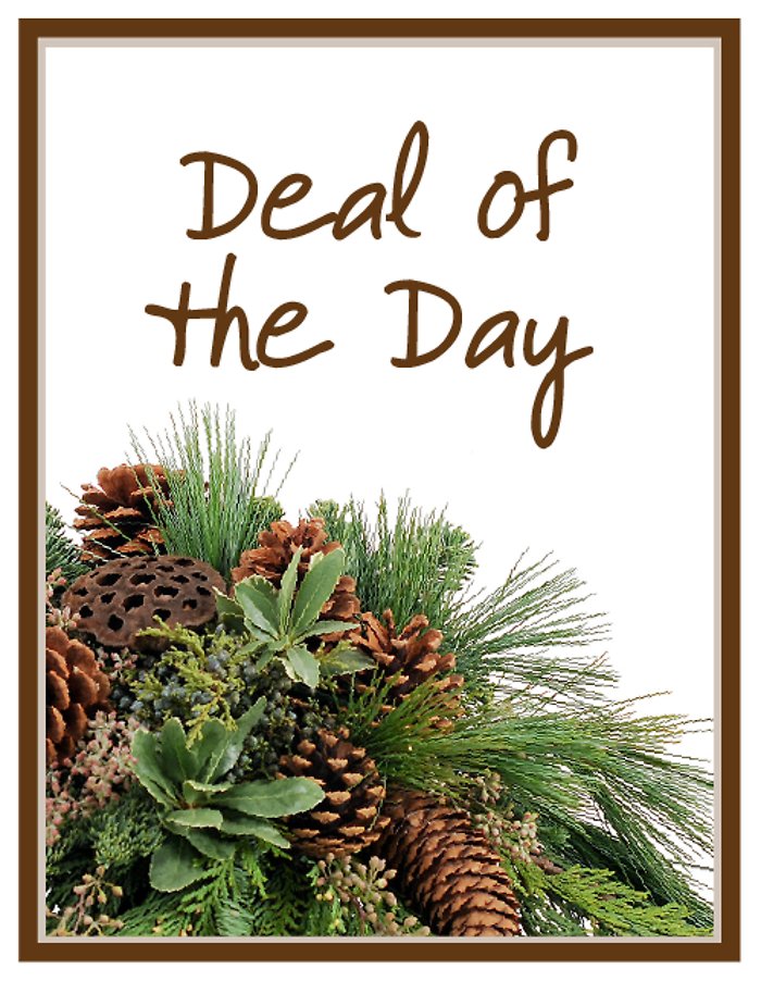 Deal of the Day - Winter