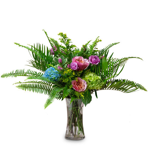 In the Morning Garden