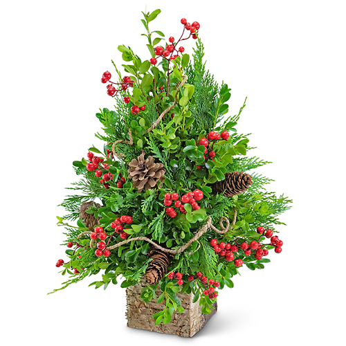 Berries & Cones Boxwood Tree