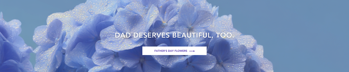Father's Day