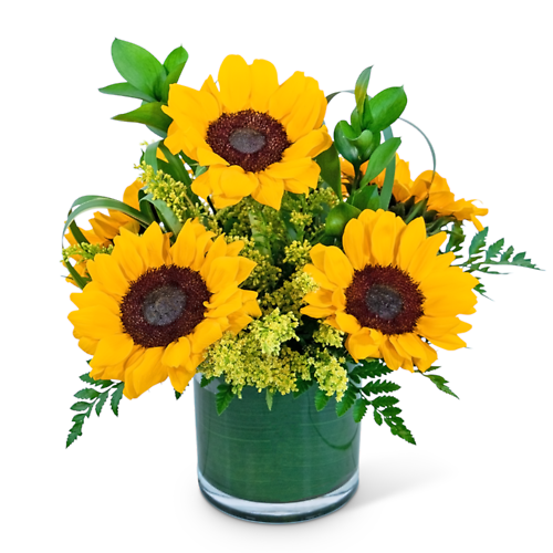 Sunshine Sunflowers