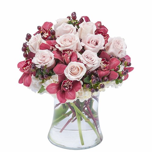 Sweet Plum Persuasions