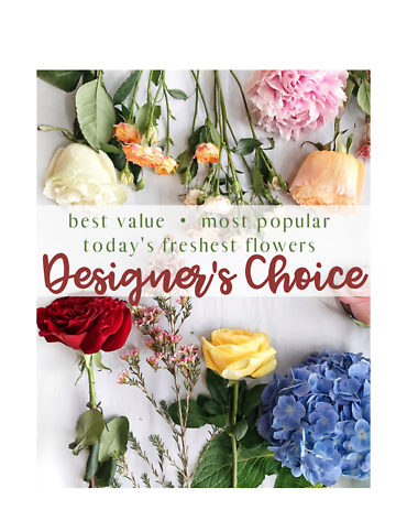 Designer\'s Choice