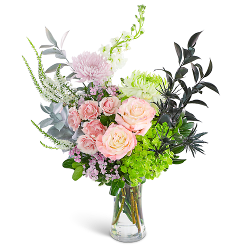 Popular and Powerful