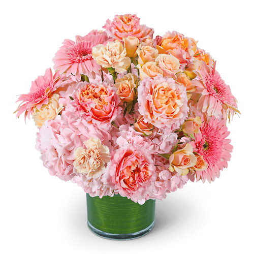 Wild Strawberry Moon