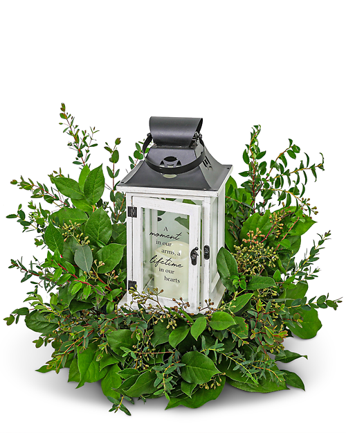 Light in the Shadows Lantern