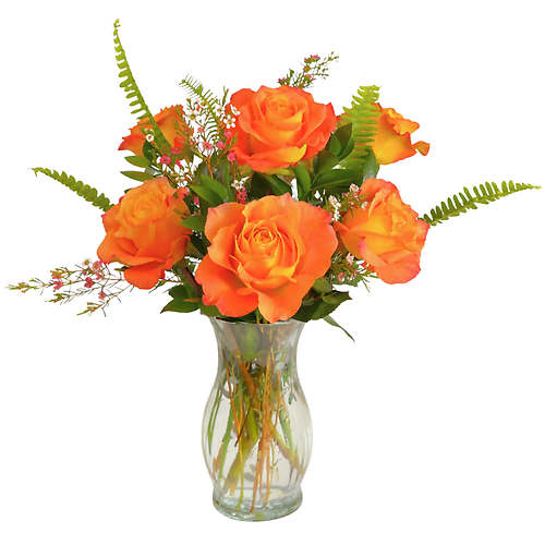 Half Dozen Roses