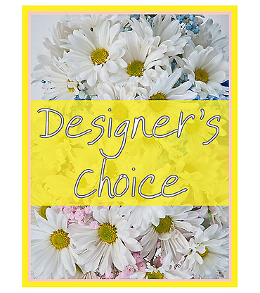 Designer\'s Choice - New Baby