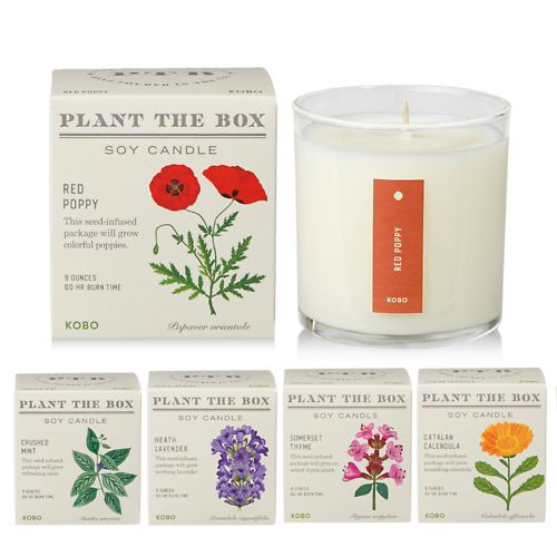 Plant The Box Candle