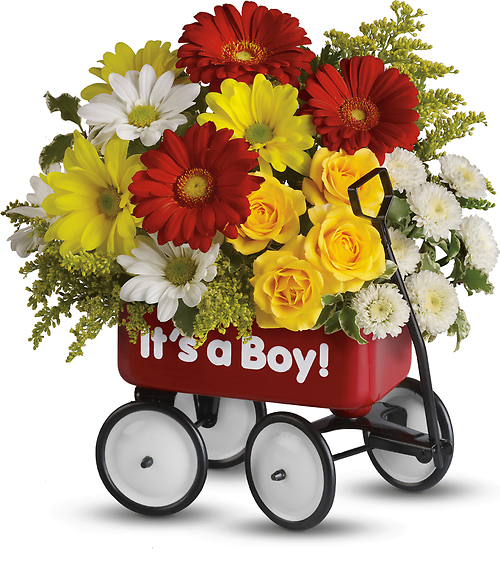 Baby\'s Wow Wagon - Boy or Girl