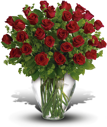 My Perfect Love - 24 Red Roses
