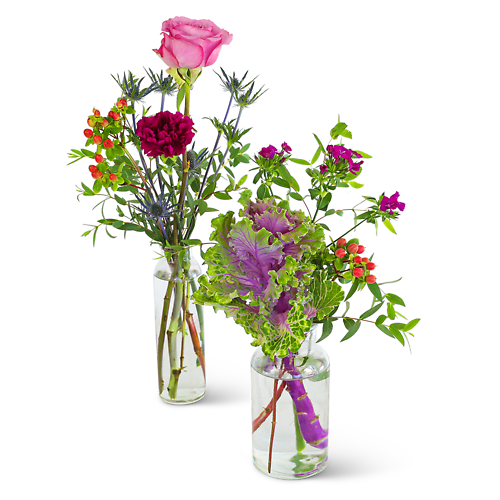 Bottles of Serene Buds