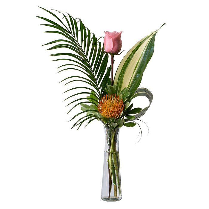 Island Rose