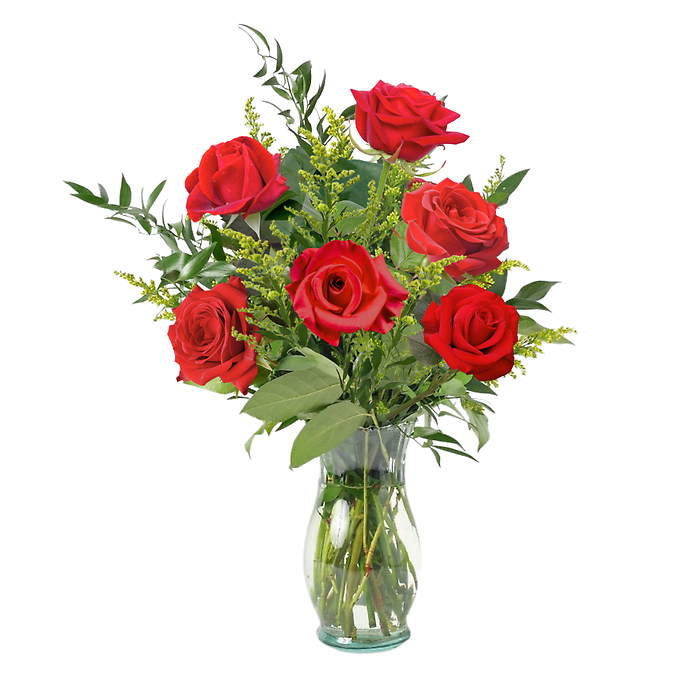 Half Dozen Long-Stem Roses