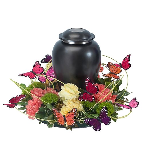 Beautiful Butterfly Simple Surround