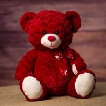 Teddy Bear-Red